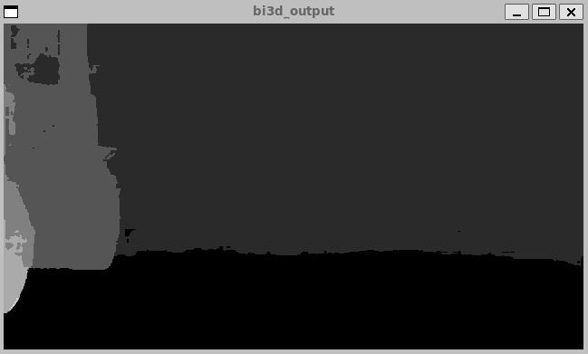 https://media.githubusercontent.com/media/NVIDIA-ISAAC-ROS/.github/main/resources/isaac_ros_docs/repositories_and_packages/isaac_ros_depth_segmentation/isaac_ros_bi3d/quickstart_disparity.png/